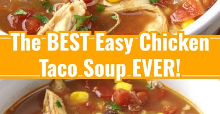 The Best Easy Slow Cooker Chicken Taco Soup