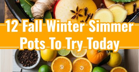 12 Easy Slow Cooker Simmer Pot Recipes for Winter
