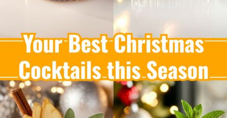 Best Christmas Cocktails Eggnog Punch Shots for Holiday Season