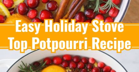 Holiday Slow Cooker Potpourri Gift Essential Christmas Aroma Craft