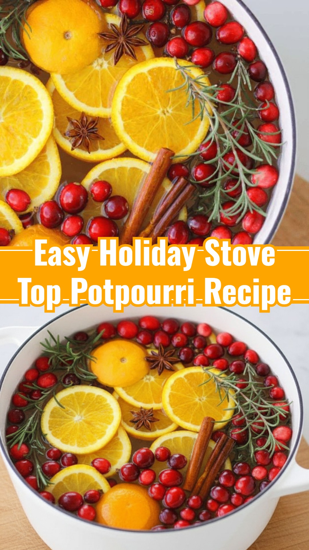 Holiday Slow Cooker Potpourri Gift Essential Christmas Aroma Craft