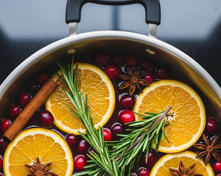 Slow Cooker Dried Orange Cranberry Simmer Pot Potpourri overview
