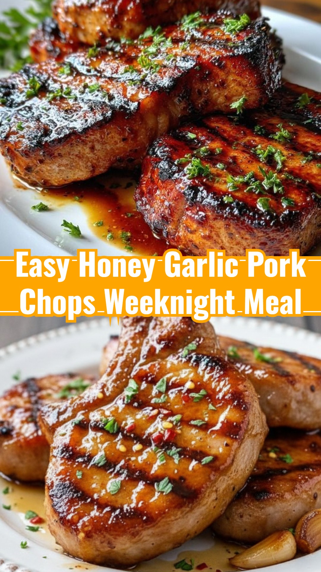 Slow Cooker Honey Garlic Asian Pork Chops Recipe